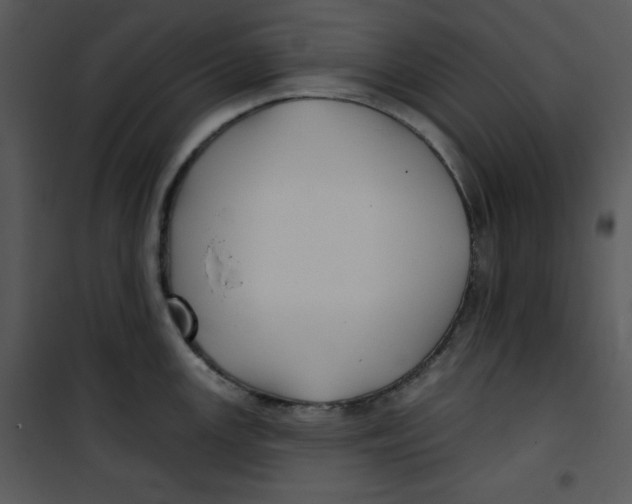 X0000100891147200807220945