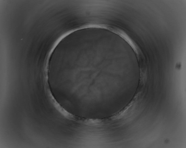 X0000100891148200807220945