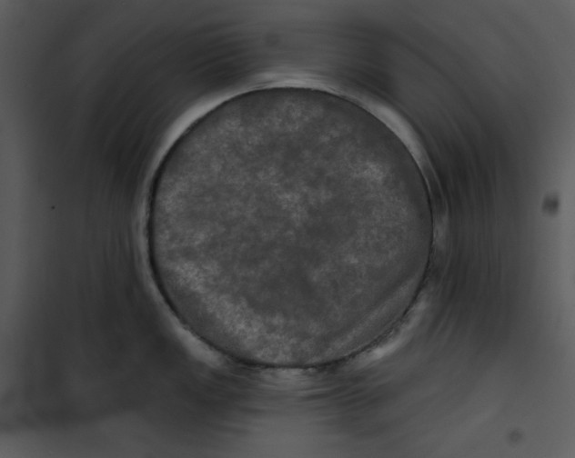 X0000100891149200807220945