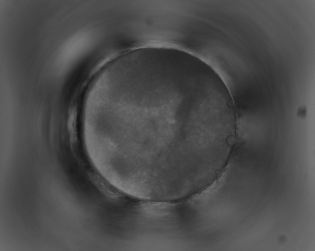 X0000100891150200807220945