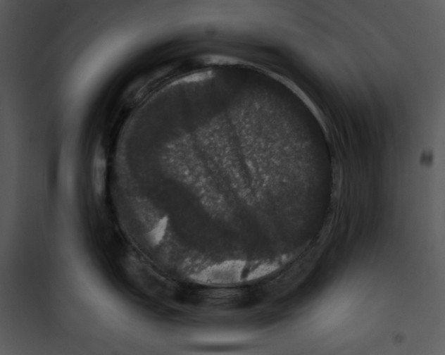 X0000100891151200807220945