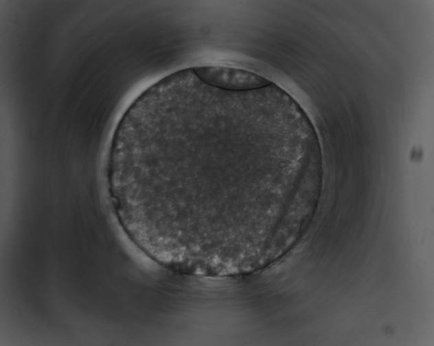 X0000100891152200807220945