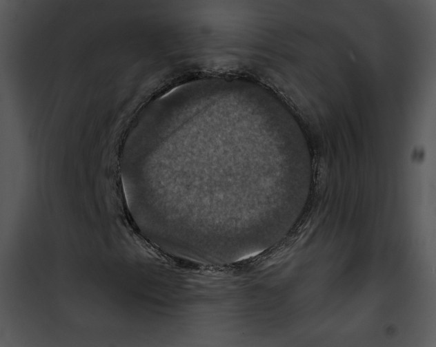 X0000100891153200807220945