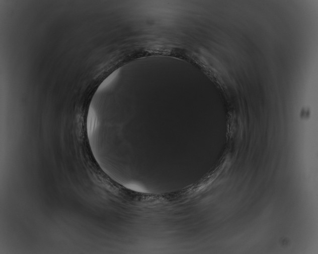 X0000100891154200807220945