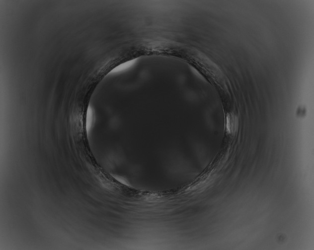 X0000100891155200807220945