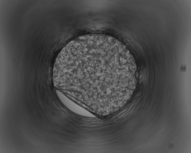 X0000100891156200807220945