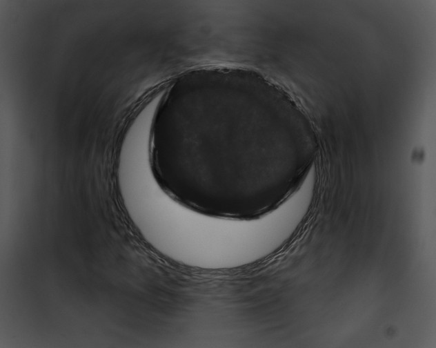 X0000100891157200807220944