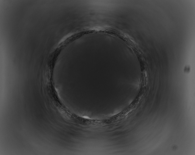 X0000100891158200807220944