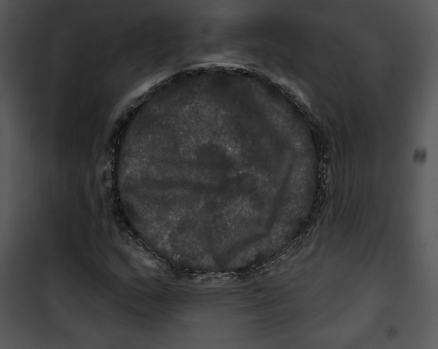 X0000100891159200807220944