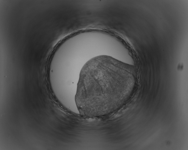 X0000100891160200807220944