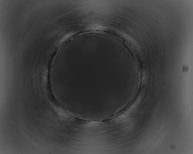 X0000100891161200807220944