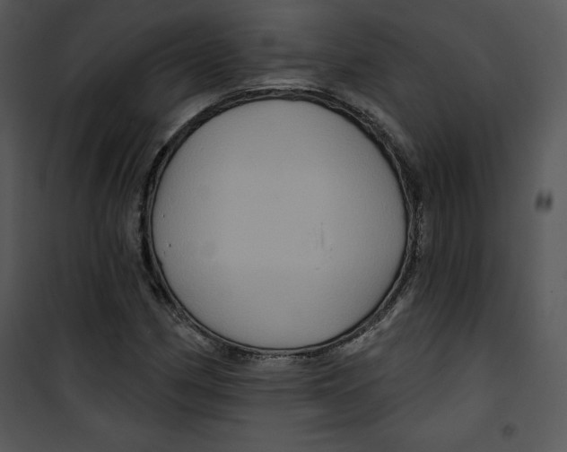 X0000100891162200807220944