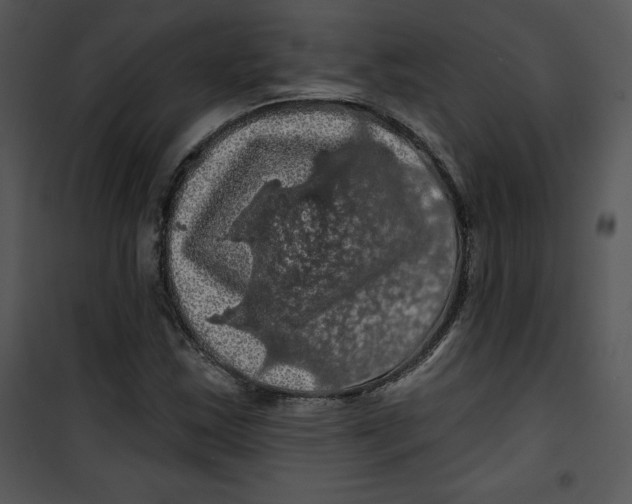 X0000100891163200807220944