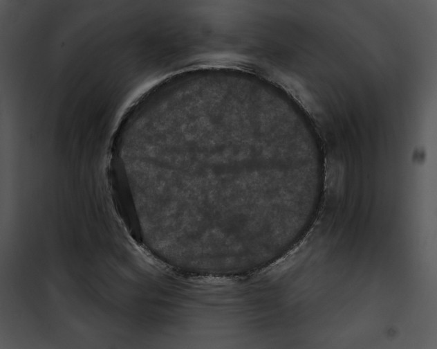 X0000100891164200807220944