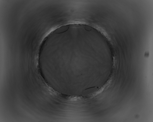 X0000100891165200807220944