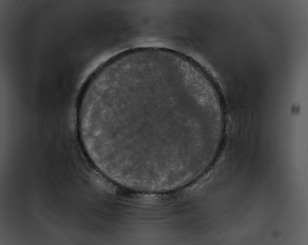 X0000100891167200807220944