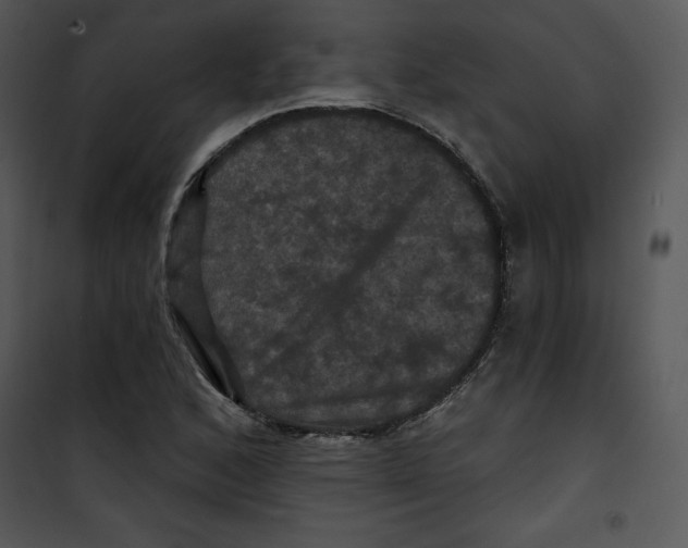 X0000100891168200807220944