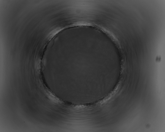 X0000100891169200807220944