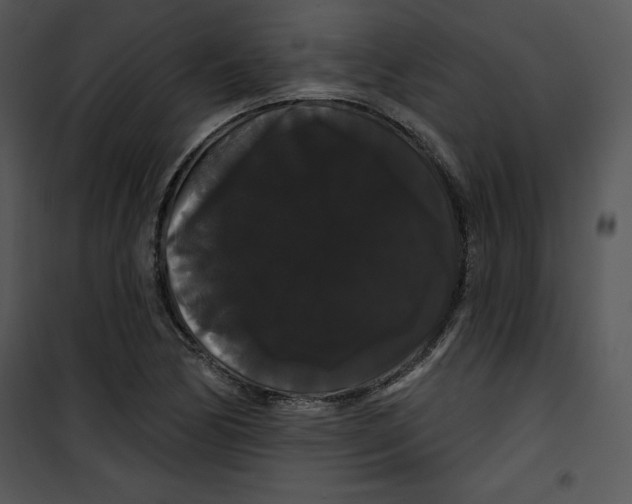 X0000100891170200807220944