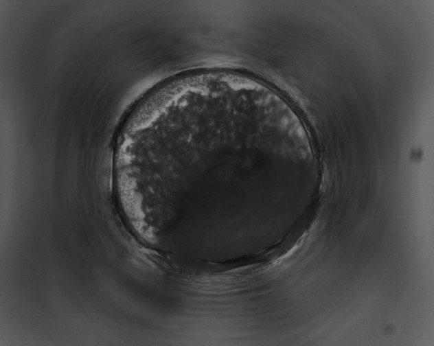 X0000100891171200807220944