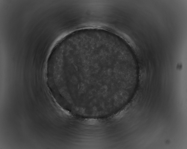 X0000100891172200807220944