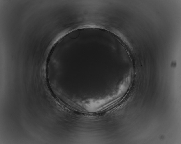 X0000100891173200807220944