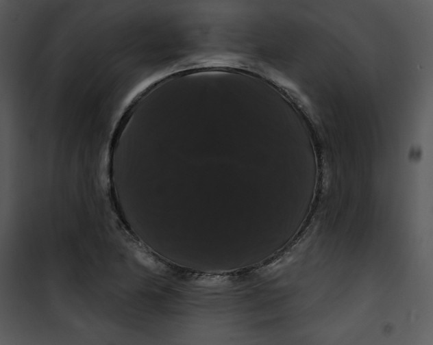 X0000100891174200807220944