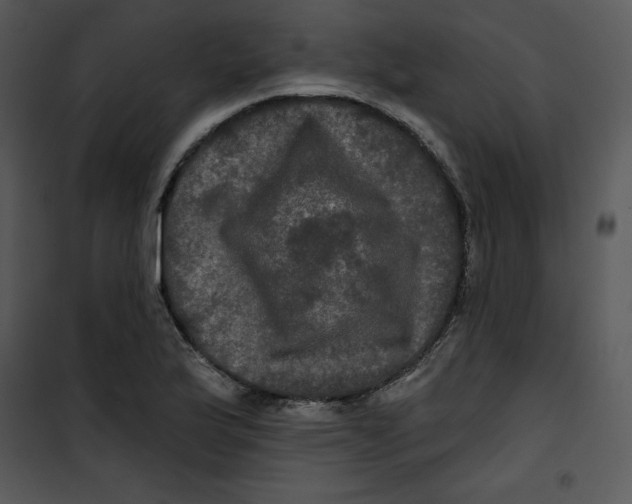 X0000100891175200807220944