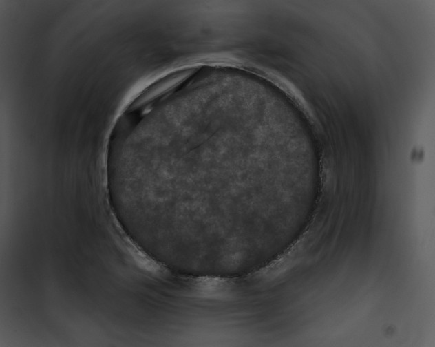 X0000100891176200807220944