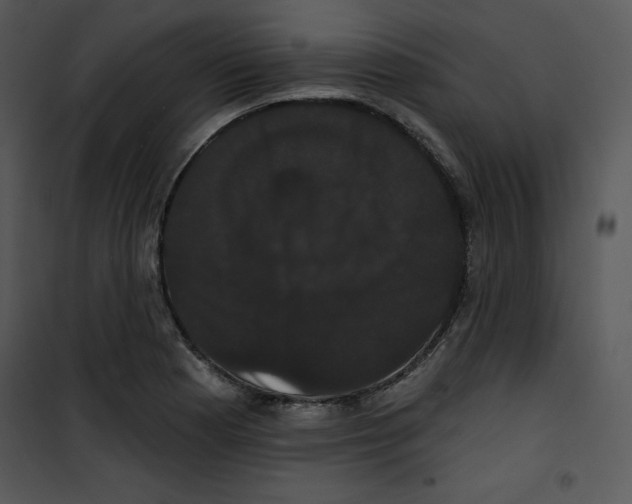 X0000100891177200807220944