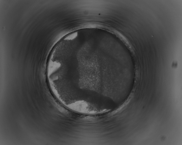 X0000100891178200807220944