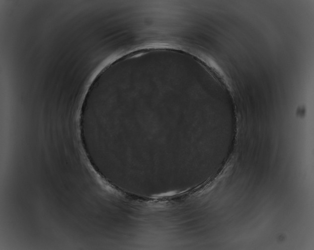 X0000100891181200807220944