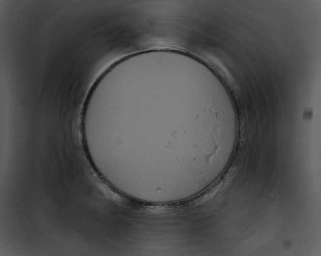 X0000100891182200807220944