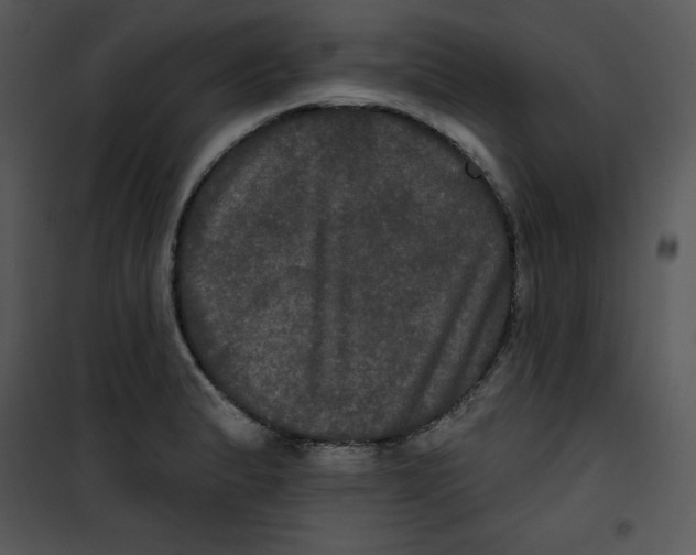 X0000100891183200807220944