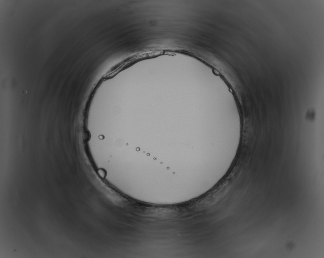 X0000100891187200807220944