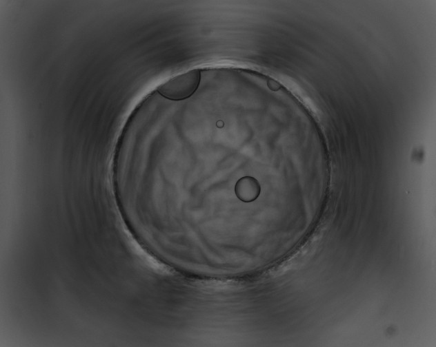 X0000100891189200807220944