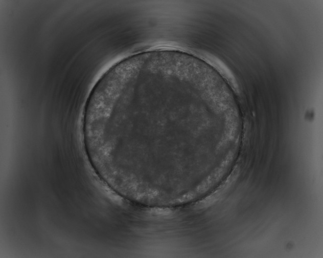 X0000100891190200807220944