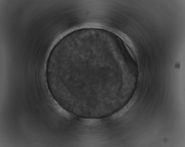 X0000100891192200807220944