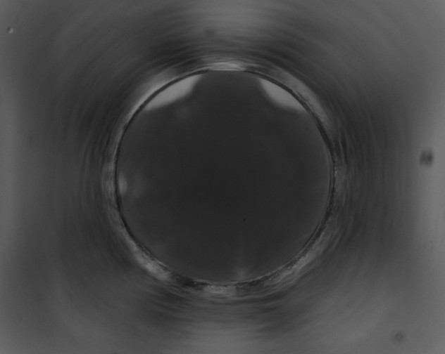 X0000100891194200807220944