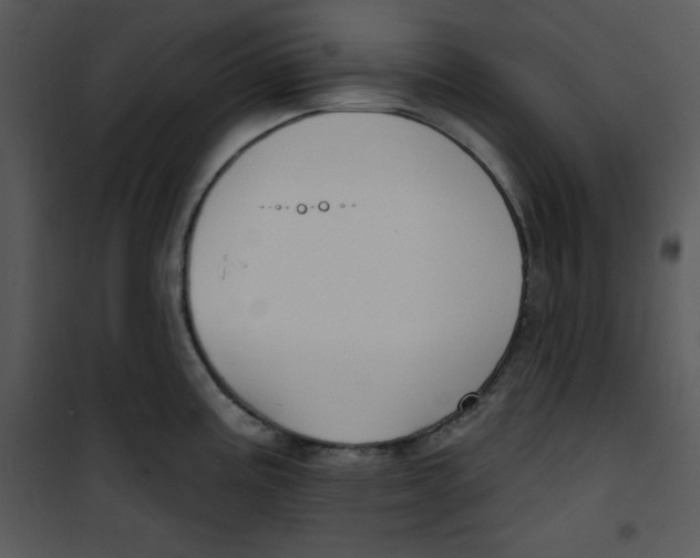 X0000100891195200807220944