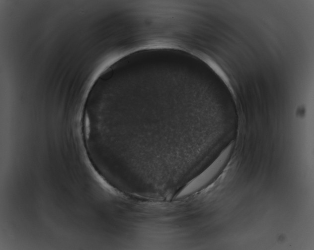 X0000100891197200807220944