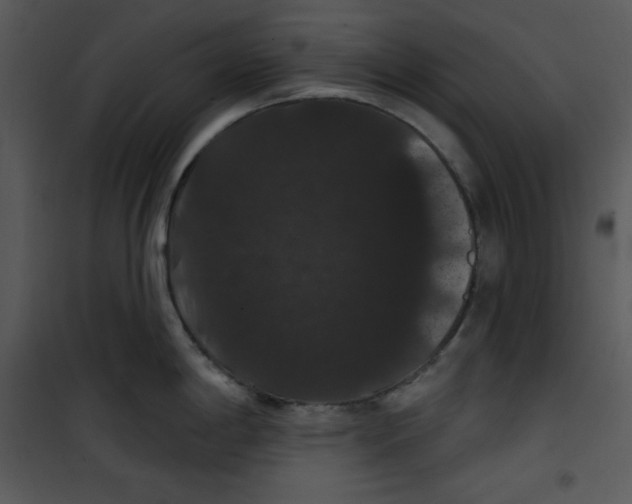 X0000100891198200807220944