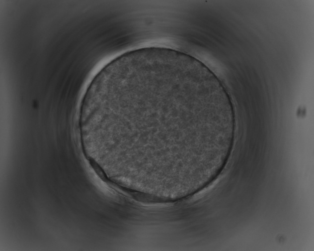 X0000100891200200807220944