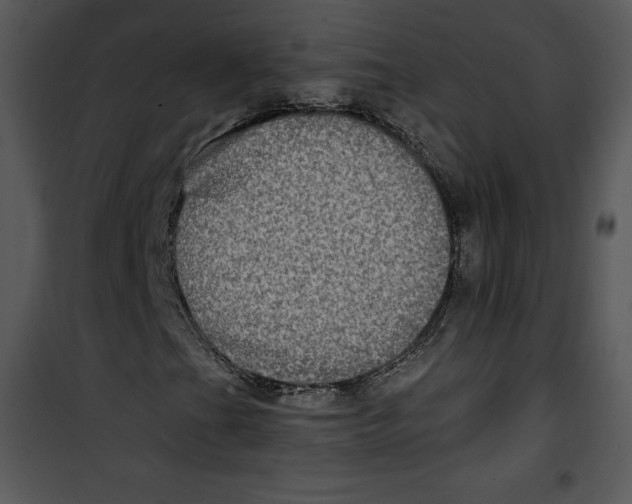 X0000100891201200807220943