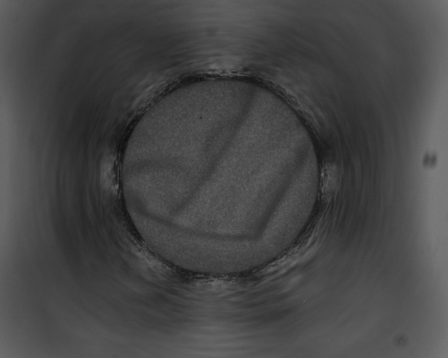 X0000100891202200807220943