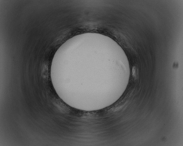 X0000100891203200807220943