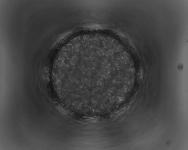 X0000100891205200807220943