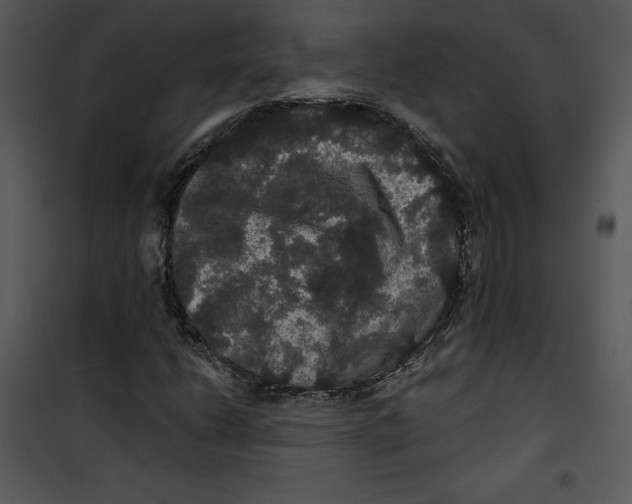 X0000100891206200807220943