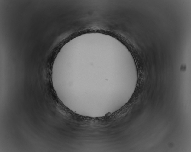 X0000100891207200807220943