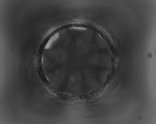 X0000100891208200807220943